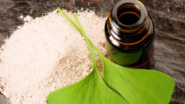 Най-важното, което трябва да знаем за екстракта от гинко билоба